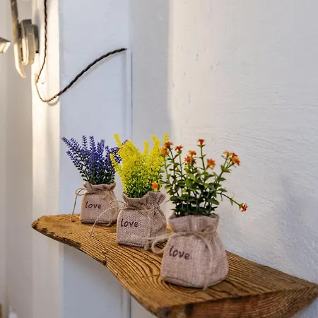 Casa vacanze Cascina Ca' Storta - 15 Minute To Venice